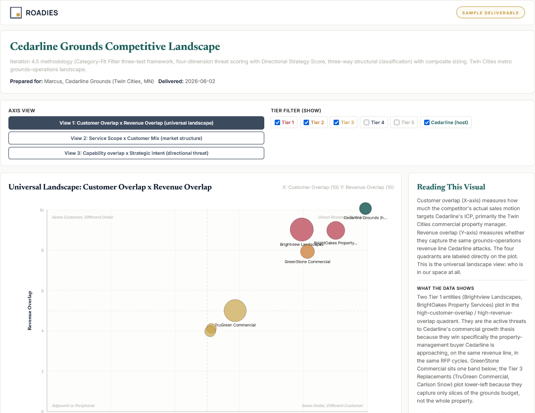 A sample Roadies competitive landscape with brand header, scatter plot of competitors, and a reading-this-visual side panel.